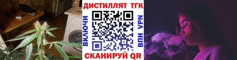 ТГК Wax  Гатчина 