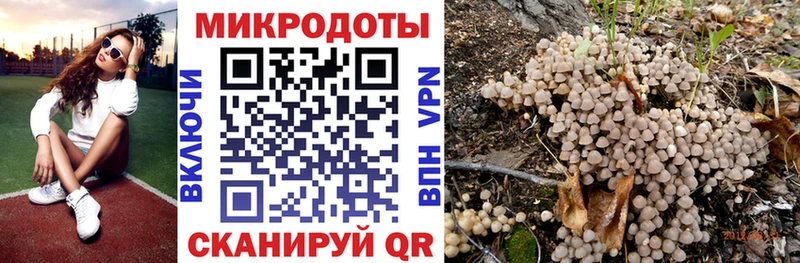 hydra как войти  Гатчина  площадка наркотические препараты  где продают   Галлюциногенные грибы ЛСД 